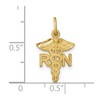 Black Bow Jewelry 14k Yellow Gold Diamond Cut RN Caduceus Charm - 4 of 4