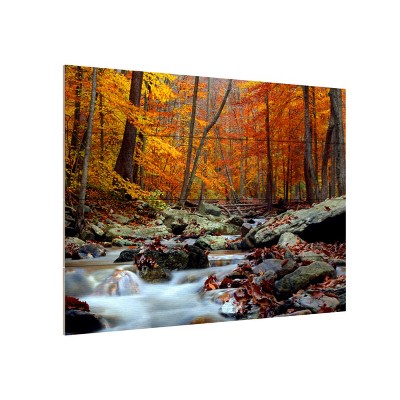 Trademark Fine Art-CATeyes 'Ultimate Truth' Wood Slat Art