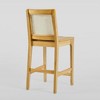 Saracina Home Rattan Back Counter Height Barstool Set Natural: Bohemian Style, Rubberwood Frame, Footrest - 4 of 4