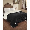 Coucheta Electric Blanket, Thick Tufted Plush Heated Blanket,10 Heat&Time Settings,ETL Certified Machine Washable Heated Throw,Multiple Sizes&Colors - 2 of 4