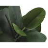 Gulches 31in Artificial Garcinia Tree in White Cement Pot Green 120 Real Touch Leaves Indoor Faux Floor Plant No Maintenance Decorative Greenery - 4 of 4