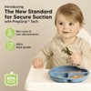 3-Pack Prep Suction Plates for Baby, 100% Silicone Toddler Plates, BPA-Free Divided Baby Plates with Suction - 2 of 4