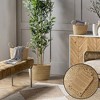 Casafield (Set of 3) Braided Seagrass Basket Planters, Natural Woven Storage Bins for Boho Home Decor, Indoor Plant Pot Covers - 2 of 4