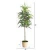 Nearly Natural 3.5-ft Winnipeg Artificial Pine Tree in Decorative Planter - 2 of 4