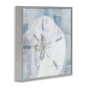 Stupell Industries Pastel Blue Sand Dollar Seashell Framed Giclee Art - 2 of 4