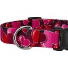 Country Brook Petz Deluxe Dog Collar - Affection Collection - 4 of 4