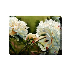 Cottage Garden West of The Wind Lord and Lady Green, White, Red 40 x 30 Inch Waterproof Gallery Wrapped Canvas, Outdoor Garden, Yard, Patio All - 1 of 2