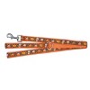 The Worthy Dog Pumpkin Spice Pet Leash - 3 of 3