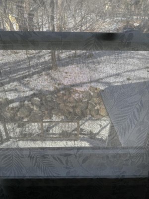 Guest review image 1 of 3, zoom in