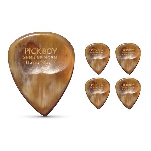 Pick Boy Hand-Made Horn Exotic Guitar Picks Heavy 5 Pack - 1 of 2