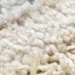 taupe, off white, medium gray, light gray, teal, olive, mustard