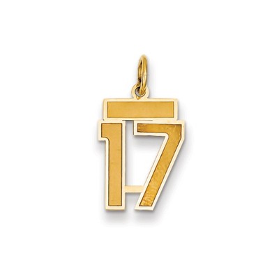 Black Bow Jewelry 14k Yellow Gold, Jersey Collection, Small Number 17 Pendant