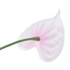 Unique Bargains Artificial Anthurium Lily Flowers for Home Decor 10 Pcs - 4 of 4