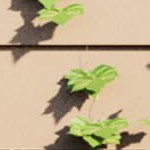 black powder coating + off-white imitation rope rattan + dark gray cushion