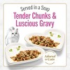 Fancy Feast Petites Seared Salmon, Fish & Seafood Flavor with Spinach in Gravy Wet Cat Food - 2.8oz - 3 of 4