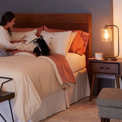 Philips Clear Glass Vintage LED Dimmable Bulbs, 2-Pack