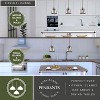 VAXCEL Grant Indoor Outdoor Farmhouse Mini Pendant Lantern Hanging Ceiling Light with Clear Glass Panels - 2 of 4