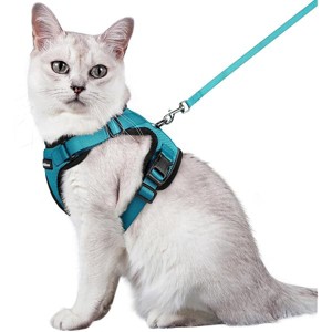 rabbitgoo Cat Harness and Leash for Walking, Escape Proof Soft Adjustable , Easy Control Breathable Reflective Strips Jacket, Teal, M - 1 of 1