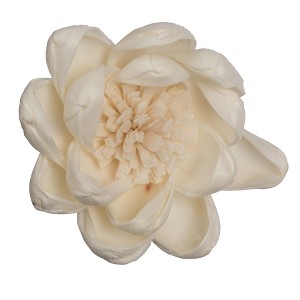 Vickerman 1-3" Natural Botanicals Assorted Natural Dried Sola Flower Head - 1 of 3