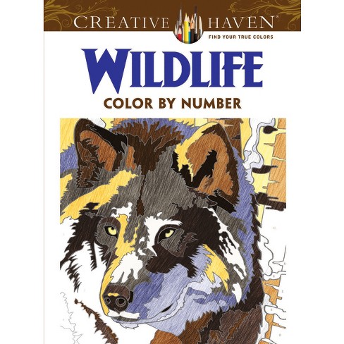 Large Print Color By Number Coloring Book For Adults: An Adult Color By  Numbers Coloring Book Large Print Coloring Page 50 Uniq Totaly Relaxing  Desgin (Paperback)