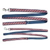 The Worthy Dog Bias Stars and Stripes Dog Leash - image 2 of 4