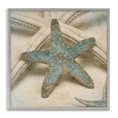 Stupell Industries Distressed Texture Starfish, 12" x 12"