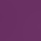 plum purple