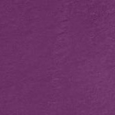 plum purple
