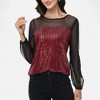 Anna-Kaci Women's Sheer Mesh Long Sleeve Top with Sequin Front Panel and Crew Neckline - 2 of 4