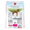 Purina ONE SmartBlend Large Breed Chicken Flavor Natural Dry Dog Food - 3 of 4