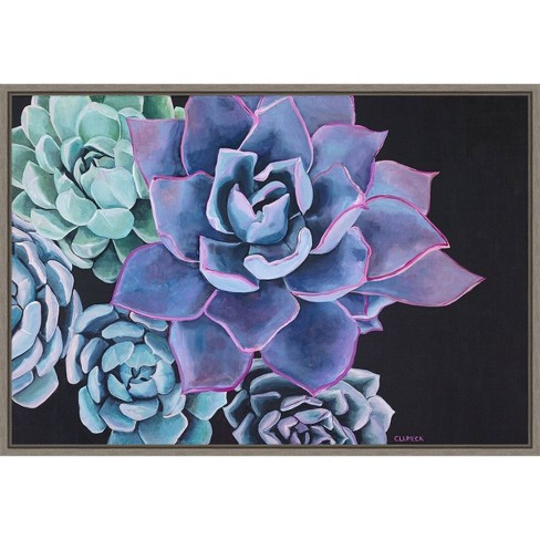 23 X 16 Abundance Succulent By Alana Clumeck Framed Canvas Wall Art Amanti Art Target