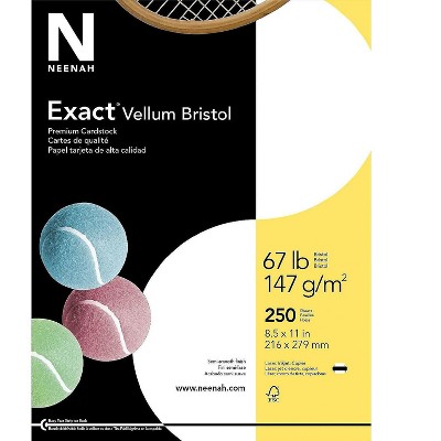 Exact Vellum Bristol Cardstock Paper 67 Lbs 8.5" x 11" White 457781