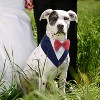 Dog Tuxedo, Formal Wedding Bandana Collar with Bow Tie, Adjustable Pet Party Tuxedo, Valentine's Outfit - 3 of 4