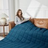 Inhand Weighted Blanket (Queen 60"x80") - Cooling Heavy Blanket with Glass Beads - All-Season Breathable Soft Comfort Microfiber Blanket - 2 of 4