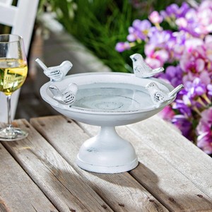 Evergreen Perched Birds Metal Tabletop Bird Bath - 1 of 2