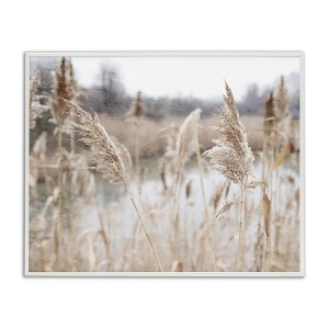 Stupell Industries Rural Pampas Grass Reeds Lakeside Pond Marsh Framed Giclee Art, White, 20" x 16" - 1 of 4
