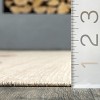Nuloom Reine Geometric Symbols Tasseled Indoor Area Rug, 5' x 8', Ivory - 3 of 4