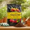 Envelor Potting Soil Mix 10 Quarts Indoor Plants Soil for Outdoor Plants - 2 of 4