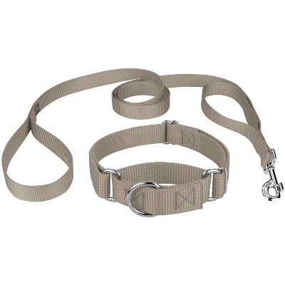 Country Brook Design Martingale Heavyduty Nylon Dog Collar and Double Handle Leash