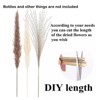 Kitcheniva Pampas Grass Natural Dried Reed Flower Bunch 60 Pcs - 2 of 4
