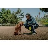 QALO TraQ Powered By Tile Dog and Cat Silicone Bluetooth Trackable Pet ID Tag - Green - 3 of 4