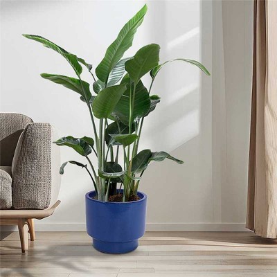 Chic Crate Modern Ceramic Planter Pots Set of 3 – Versatile Indoor/Outdoor Flowerpots with Drainage Holes