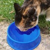 Farm Innovators 1 Quart Plastic Heated Pet Bowl with Anti Chew Cord and 25 Watts of Power for Rabbits, Dogs, Cats, and All Breed Sizes, 2 Pack, Blue - 4 of 4
