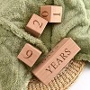Baby Monthly Milestone Blocks - Handcrafted Wooden Number Blocks for Milestones - Days, Weeks, Months, Years - Ideal for Newborn Photos - 2 of 4