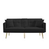 Racxily Velvet Futon Sofa Bed with Gold Metal Legs - 4 of 4