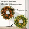 24 inch pre - lit wreath with real cedar greenery outdoor door holiday decor timer operated lights brown green color - 4 of 4