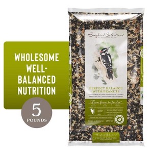 Songbird Selections Perfect Balance Wild Bird Sunflower Seeds and Peanuts Wild Bird Food 5 lb - 1 of 1