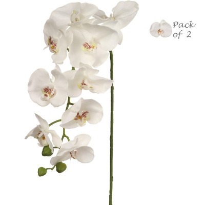 Floral Home 33.5" Phalaenopsis with 9 Flowers - 2-Piece