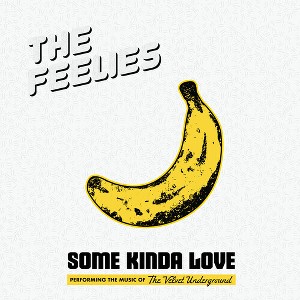 Feelies - Some Kinda Love: Performing The Music Of The Velvet Underground - 1 of 1