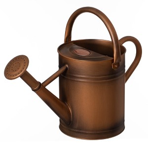 Gardenised 1 Gallon Galvanized Metal Watering Can with Removable Long Spout & Sprinkler Head for Indoor & Outdoor Use - 1 of 4